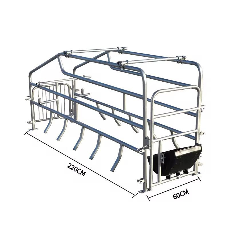 WhatsApp-Image-2025-08-27-at-10.27.06-AM.jpeg Pig Farrowing Cage ππ - Image 1