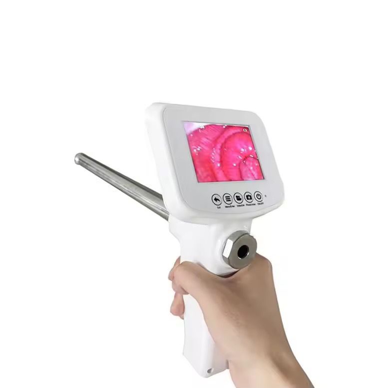 WhatsApp Image 2026-01-24 at 11.28.32 AM Visual Insemination Tool - Image 1